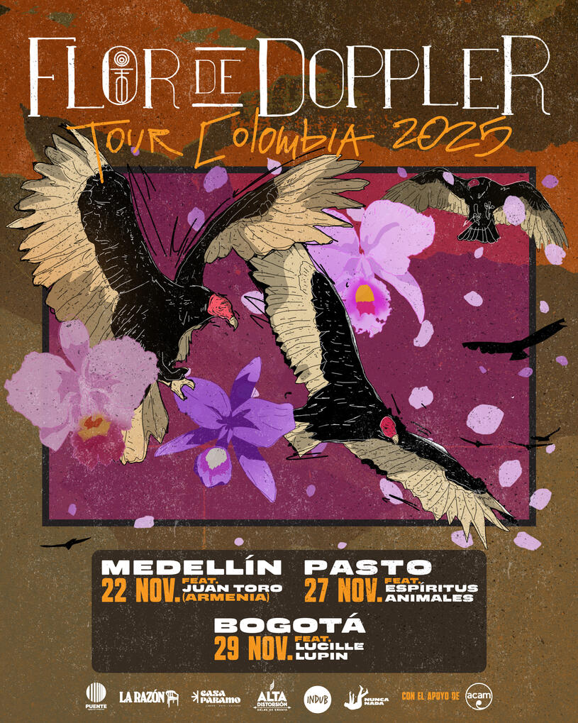 FLOR DE DOPPLER FLOR DE DOPPLER